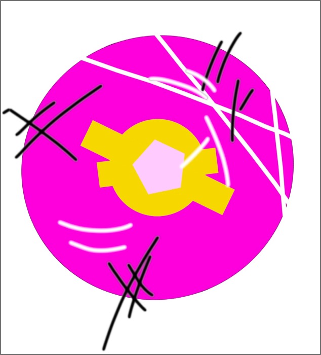 This is the presentation image, which also shows the evolution of the final effect.